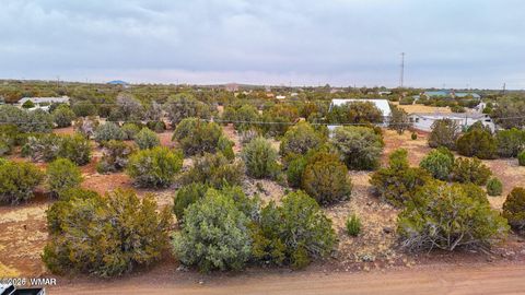 Photo of 8423 Apache Drive, Show Low, AZ 85901 (MLS # 260622)