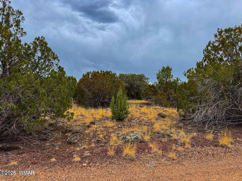 Tiny photo for 8423 Apache Drive, Show Low, AZ 85901 (MLS # 260622)