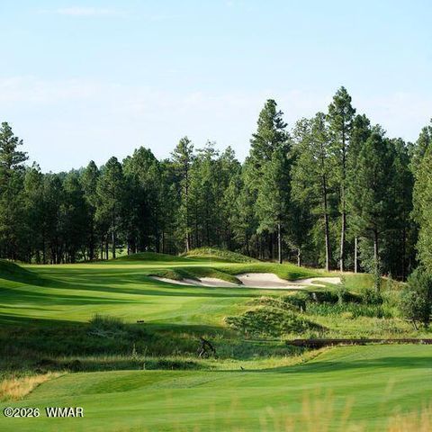 Tiny photo for 2341 W Pinegrass Road, Show Low, AZ 85901 (MLS # 260377)