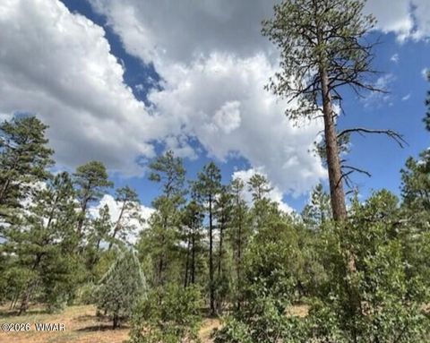 Tiny photo for 2341 W Pinegrass Road, Show Low, AZ 85901 (MLS # 260377)
