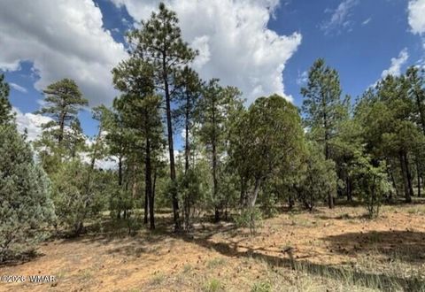 Tiny photo for 2341 W Pinegrass Road, Show Low, AZ 85901 (MLS # 260377)