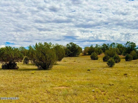 Tiny photo for 0 Dusty Rose Ranch Rd #A 16 Acre, Seligman, AZ 86337 (MLS # 263419)