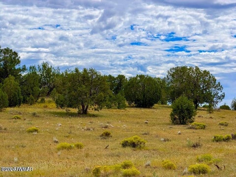Tiny photo for 0 Dusty Rose Ranch Rd #A 16 Acre, Seligman, AZ 86337 (MLS # 263419)