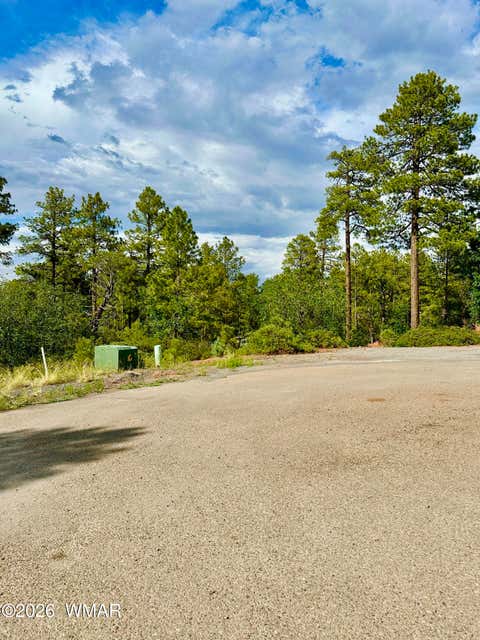 Tiny photo for 7026 Leo Lane, Lakeside, AZ 85929 (MLS # 261935)