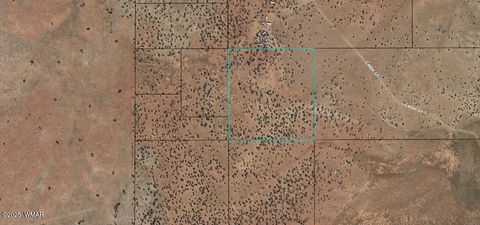 Tiny photo for TBD 201-25-009 AND 010A, Heber, AZ 85928 (MLS # 258440)