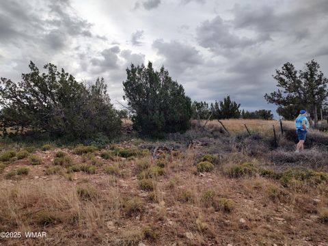 Tiny photo for TBD 201-25-009 AND 010A, Heber, AZ 85928 (MLS # 258440)