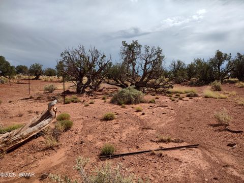 Photo of TBD 201-25-009 AND 010A, Heber, AZ 85928 (MLS # 258440)