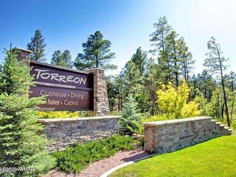 Tiny photo for 3990 Sugar Pine Loop, Show Low, AZ 85901 (MLS # 259709)