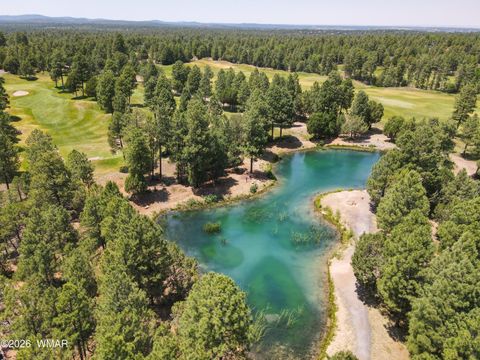 Tiny photo for 3990 Sugar Pine Loop, Show Low, AZ 85901 (MLS # 259709)