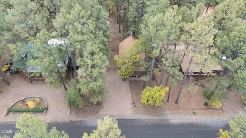 Tiny photo for 1709 E Gobbler Peak Lane, Pinetop, AZ 85935 (MLS # 258395)