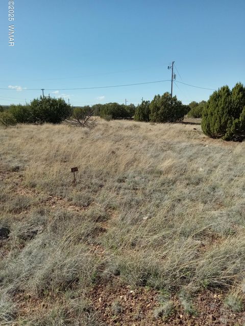 Photo of 1794 Fox Circle, Show Low, AZ 85901 (MLS # 258339)