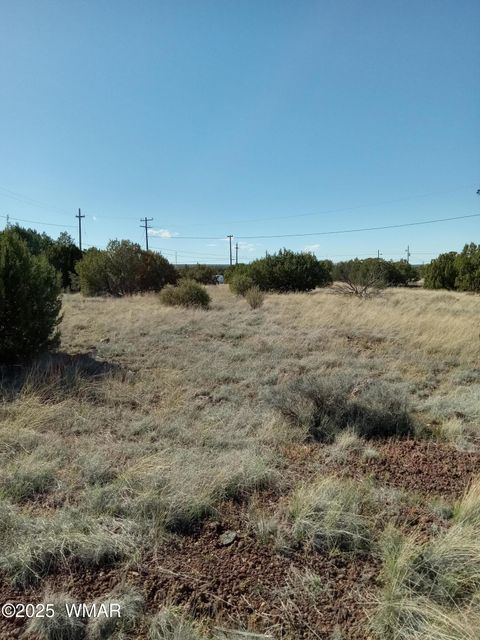 Tiny photo for 1794 Fox Circle, Show Low, AZ 85901 (MLS # 258339)