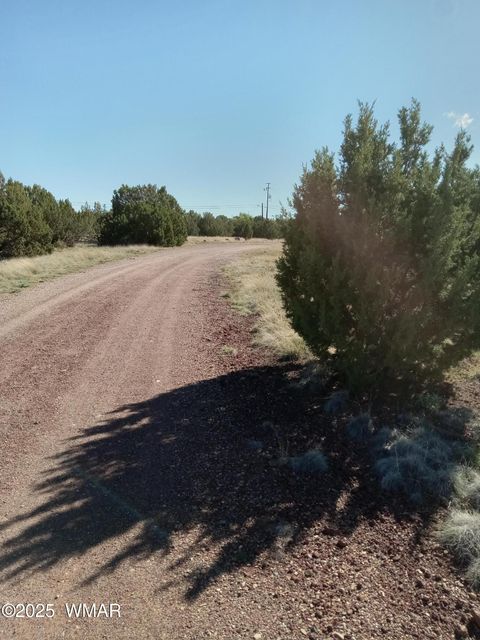 Tiny photo for 1794 Fox Circle, Show Low, AZ 85901 (MLS # 258339)