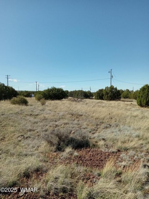 Tiny photo for 1794 Fox Circle, Show Low, AZ 85901 (MLS # 258339)