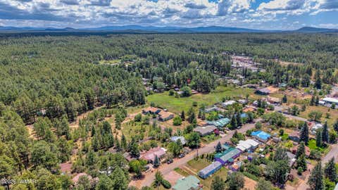 Tiny photo for 1301 S Rosemarie Drive, Pinetop, AZ 85935 (MLS # 262490)