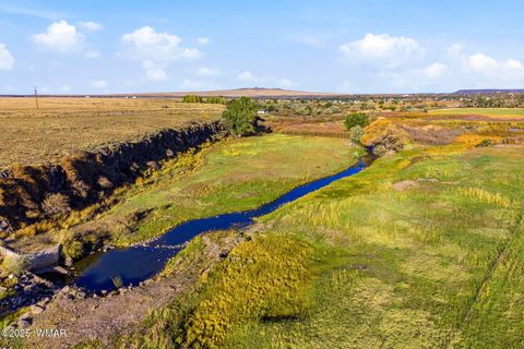 Tiny photo for 1200 W 4th Street, Eagar, AZ 85925 (MLS # 258789)