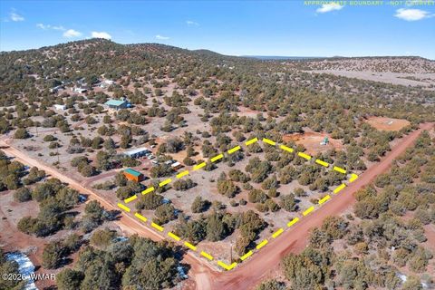 Photo of 51 County Rd 3193, Vernon, AZ 85940 (MLS # 259435)