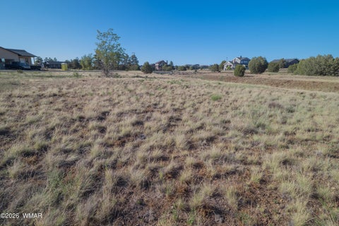Tiny photo for 981 S Lorenzo Sitgreaves DR, Show Low, AZ 85901 (MLS # 262586)