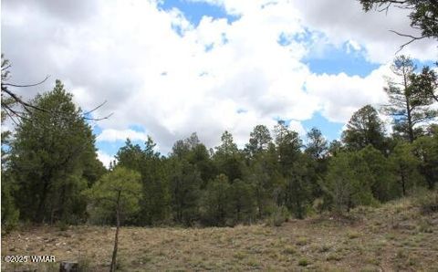 Tiny photo for 3339 Sawmill Ridge Loop, Heber, AZ 85928 (MLS # 255821)