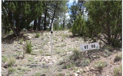 Tiny photo for 3339 Sawmill Ridge Loop, Heber, AZ 85928 (MLS # 255821)