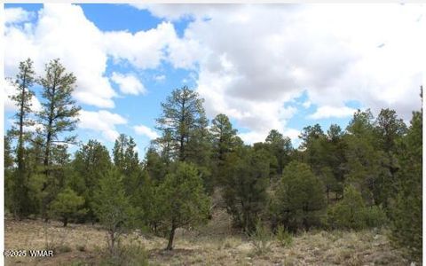 Tiny photo for 3339 Sawmill Ridge Loop, Heber, AZ 85928 (MLS # 255821)