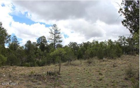 Tiny photo for 3339 Sawmill Ridge Loop, Heber, AZ 85928 (MLS # 255821)