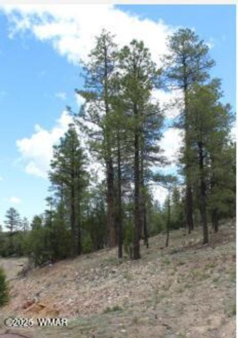 Photo of 3339 Sawmill Ridge Loop, Heber, AZ 85928 (MLS # 255821)