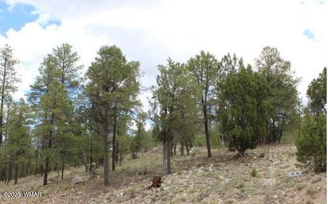 Tiny photo for 3339 Sawmill Ridge Loop, Heber, AZ 85928 (MLS # 255821)