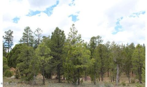 Tiny photo for 3339 Sawmill Ridge Loop, Heber, AZ 85928 (MLS # 255821)