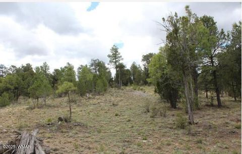 Tiny photo for 3339 Sawmill Ridge Loop, Heber, AZ 85928 (MLS # 255821)