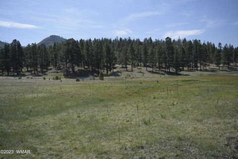 Tiny photo for TBD CR 2275, Nutrioso, AZ 85932 (MLS # 248077)