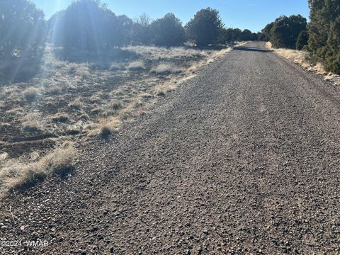 Tiny photo for 2036 Sitgreaves Ranch Road, Show Low, AZ 85901 (MLS # 254876)
