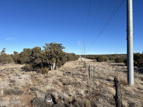 Tiny photo for 2036 Sitgreaves Ranch Road, Show Low, AZ 85901 (MLS # 254876)