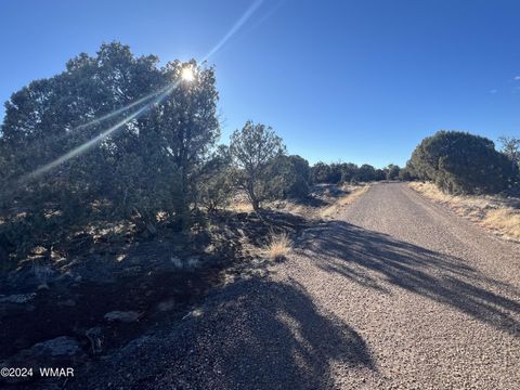 Tiny photo for 2036 Sitgreaves Ranch Road, Show Low, AZ 85901 (MLS # 254876)