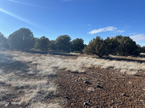 Tiny photo for 2036 Sitgreaves Ranch Road, Show Low, AZ 85901 (MLS # 254876)