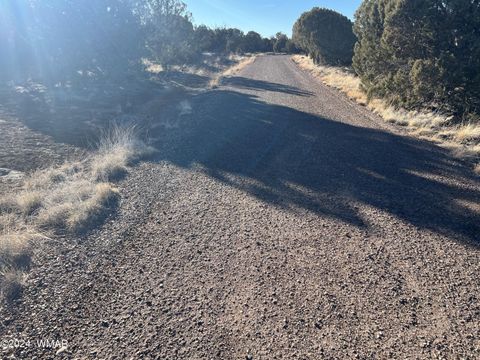 Tiny photo for 2036 Sitgreaves Ranch Road, Show Low, AZ 85901 (MLS # 254876)