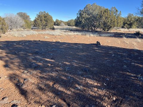 Tiny photo for 2036 Sitgreaves Ranch Road, Show Low, AZ 85901 (MLS # 254876)