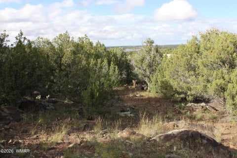 Tiny photo for 8319 Lone Pine Drive, Show Low, AZ 85901 (MLS # 263487)
