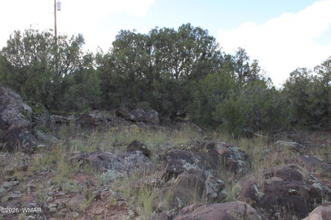 Tiny photo for 8319 Lone Pine Drive, Show Low, AZ 85901 (MLS # 263487)