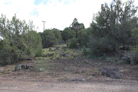 Photo of 8319 Lone Pine Drive, Show Low, AZ 85901 (MLS # 263487)