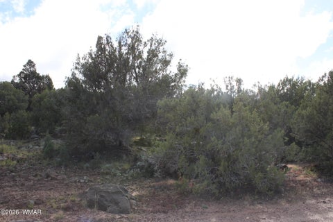 Tiny photo for 8319 Lone Pine Drive, Show Low, AZ 85901 (MLS # 263487)