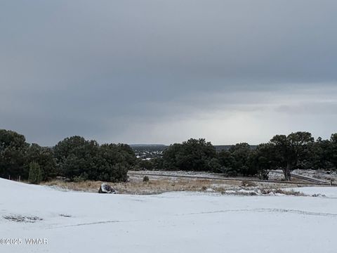 Tiny photo for 1855 Par Circle Cir #201, Show Low, AZ 85901 (MLS # 257667)