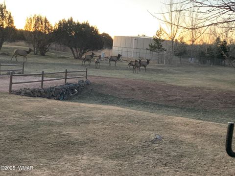 Tiny photo for 1855 Par Circle Cir #201, Show Low, AZ 85901 (MLS # 257667)