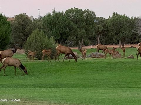 Tiny photo for 1855 Par Circle Cir #201, Show Low, AZ 85901 (MLS # 257667)