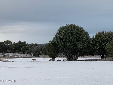 Tiny photo for 1855 Par Circle Cir #201, Show Low, AZ 85901 (MLS # 257667)