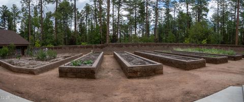 Tiny photo for 5606 High Drive, Lakeside, AZ 85929 (MLS # 257185)