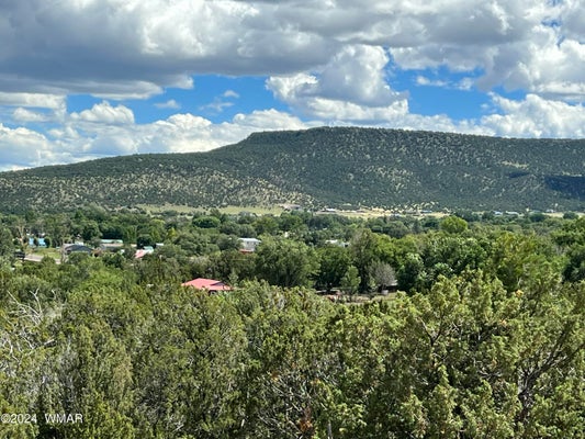 TBD CENTRAL AVENUE, EAGAR, AZ 85925 - Image 4cfe5f6cd8971f7d607ec3ca0a7412d8/334325529