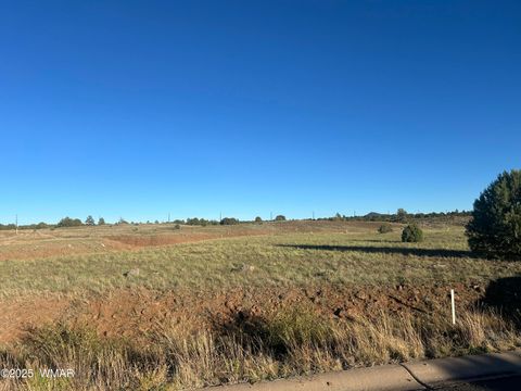 Tiny photo for 1081 S Ridgeway Drive, Show Low, AZ 85901 (MLS # 258704)