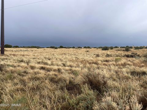 Tiny photo for 5499 State Route 277, Snowflake, AZ 85937 (MLS # 255481)