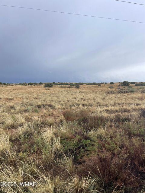 Tiny photo for 5499 State Route 277, Snowflake, AZ 85937 (MLS # 255481)